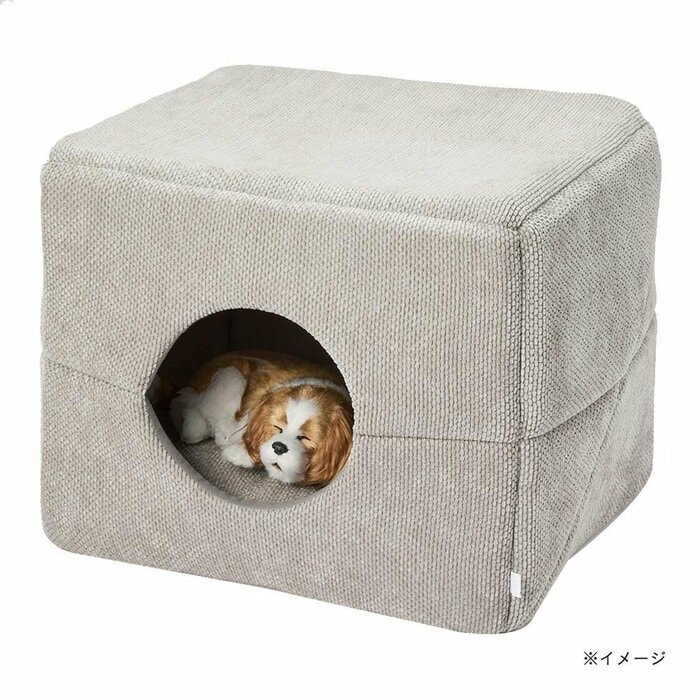 カラーはシュニールグレーとシュニールベージュです