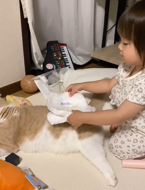 「ママ」のような一歳児さん 猫のために持ってきた物が可愛すぎる…！