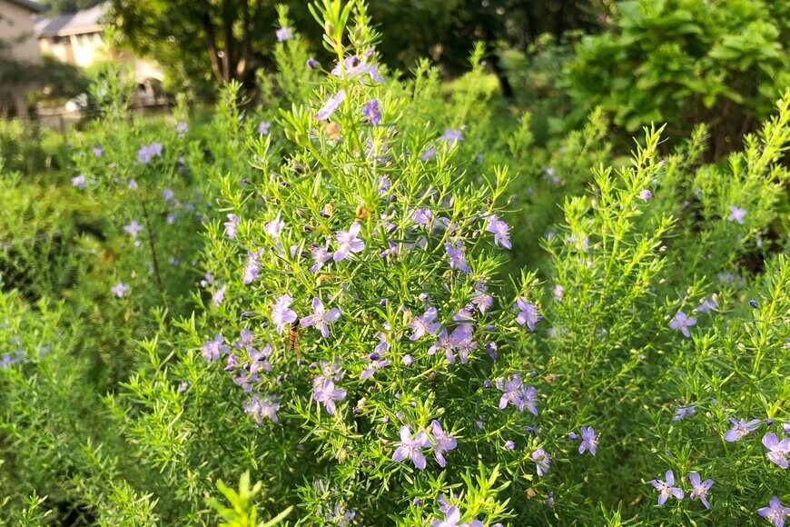 Nokzd/Shutterstock.com