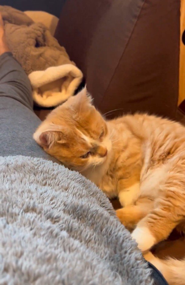 出所：@kotaro_0315