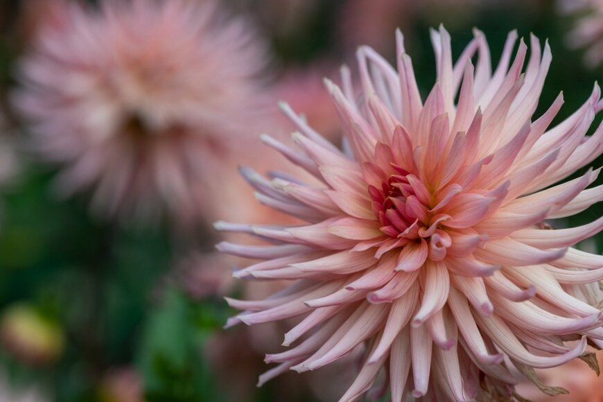 Tom Meaker/istockphoto.com