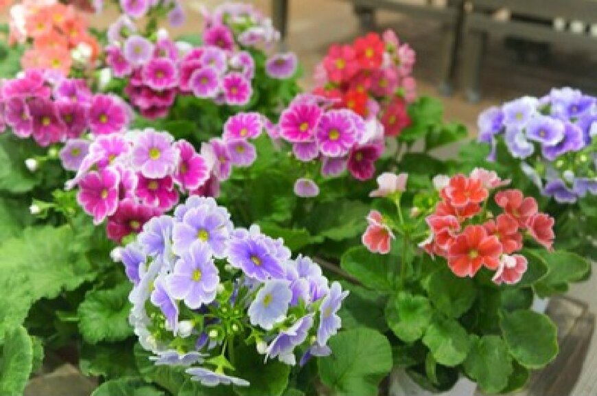 travelershigh/shutterstock.com