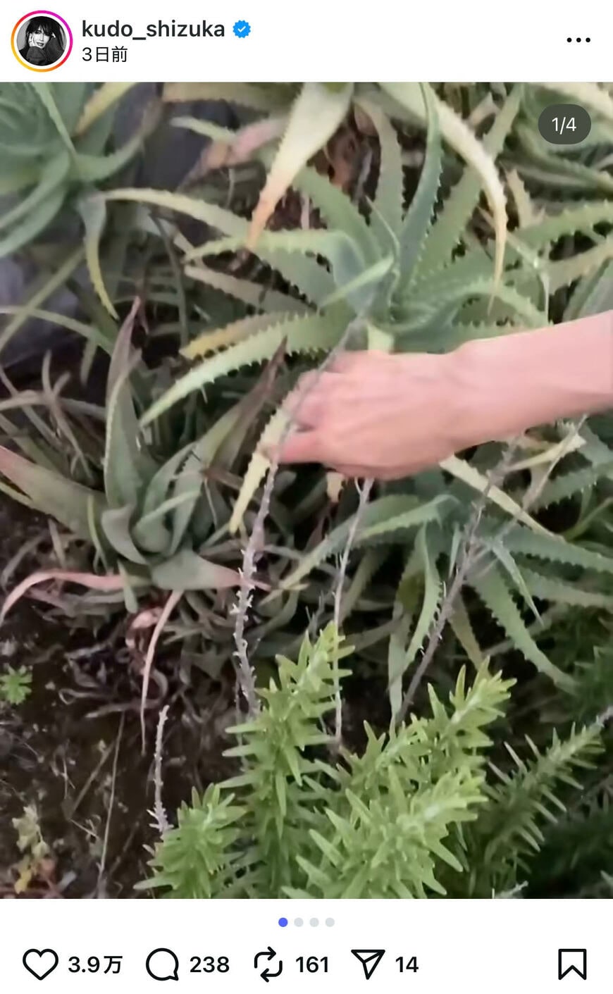 出所：工藤静香のInstagram（＠kudo_shizuka）参照日：2025年8月18日