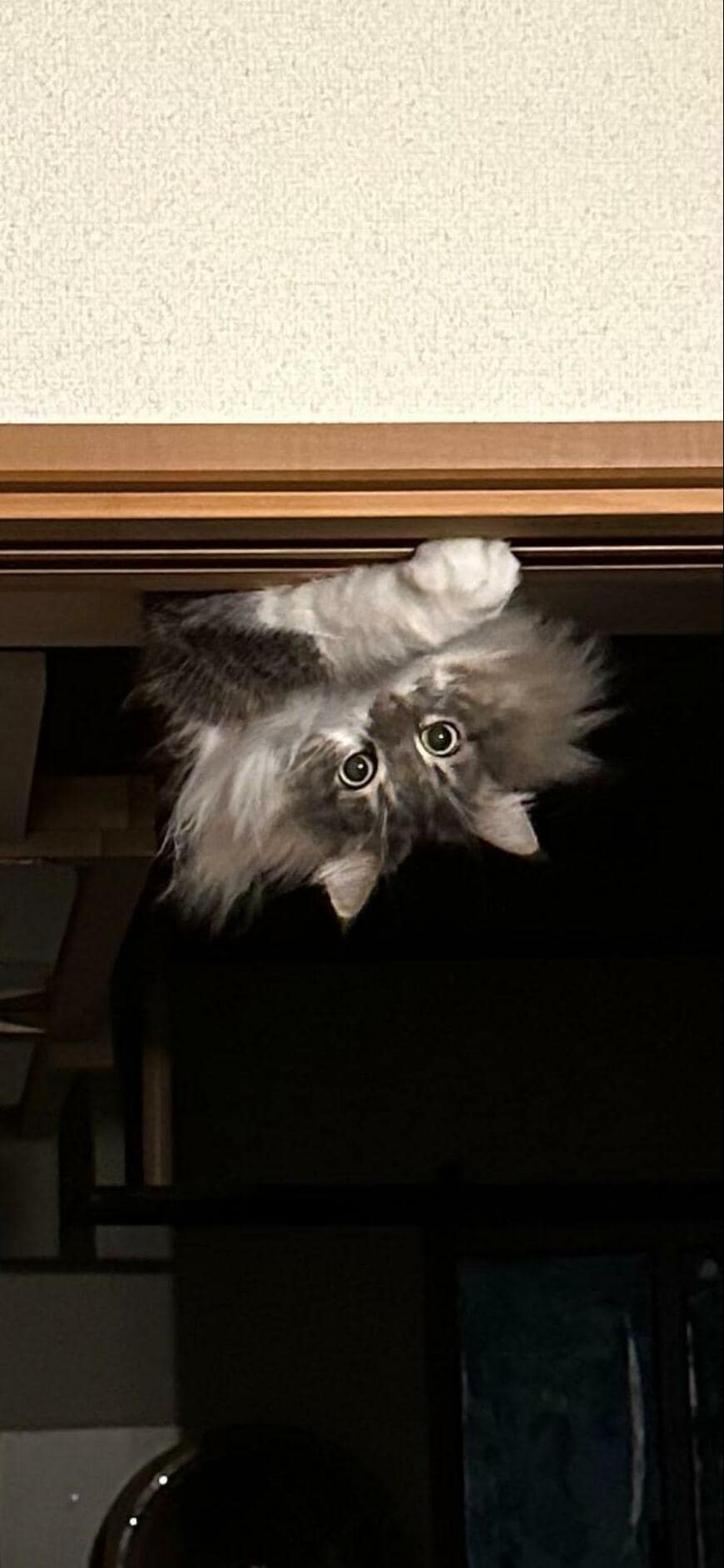 出所：@NEKOLAND13