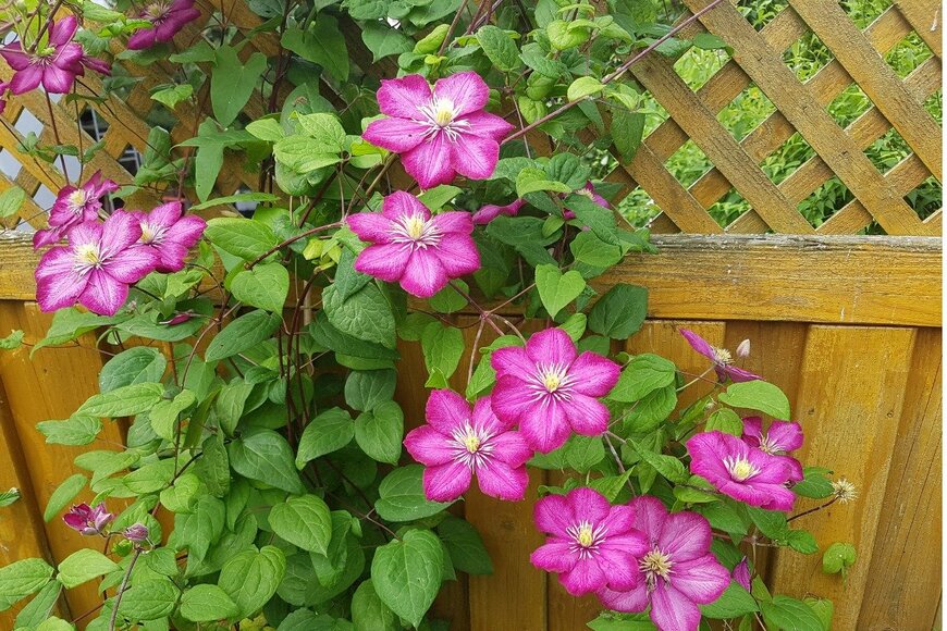 emer1940/istockphoto.com