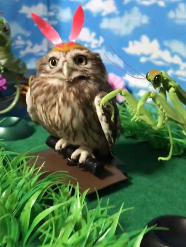 出所：@cr8673.hiro