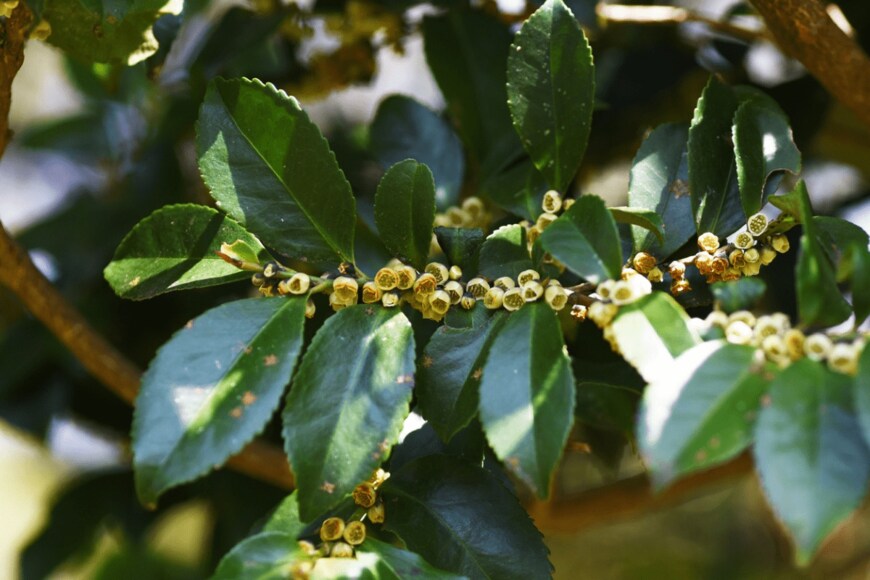 undefined undefined/istockphoto.com