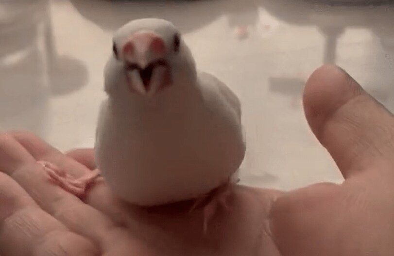 出所：@7nNxrg27PIUFCMS