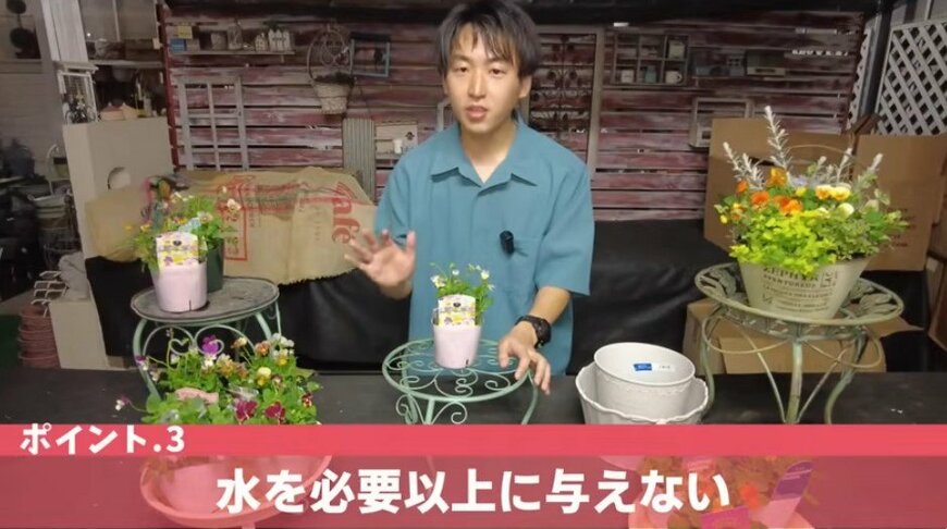 出所：@petit_fleur