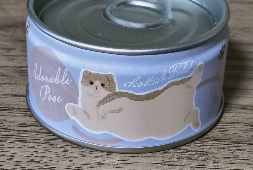 筆者撮影（セリア、缶詰型ケース ねこ）