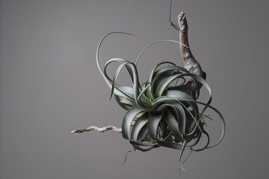 mokjc/Shutterstock.com