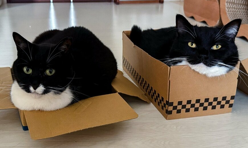 出所：@unicouniuni3