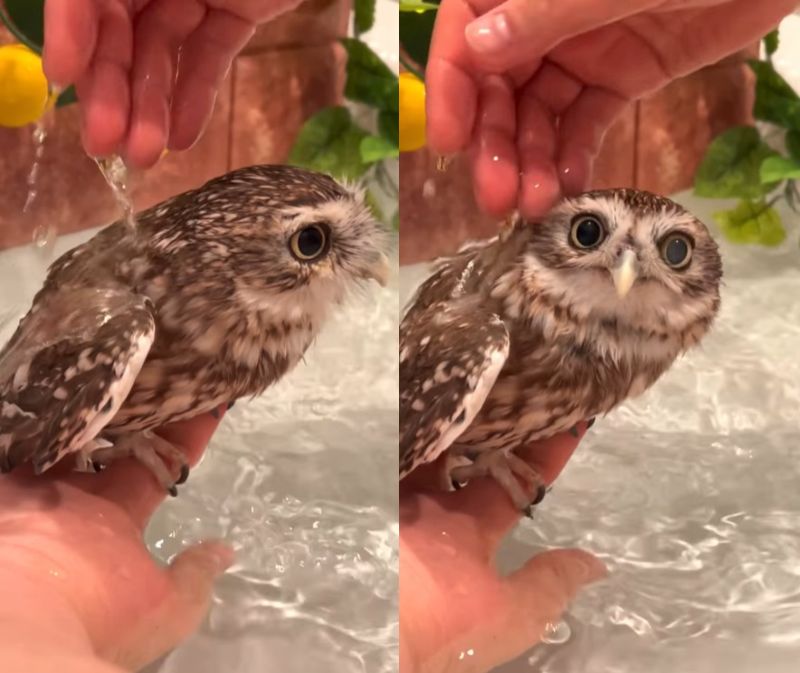 出所：@cr8673.hiro