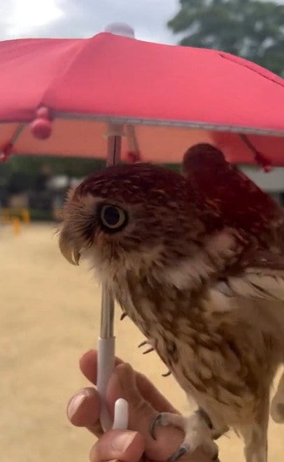 出所：@cr8673.hiro