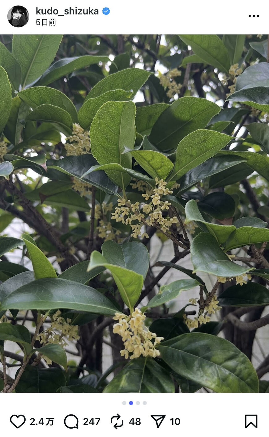 出所：工藤静香のInstagram（＠kudo_shizuka）参照日：2025年10月15日