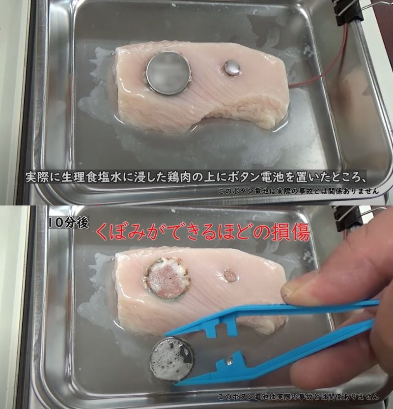 出所：@kokusen_ncac_JAPAN