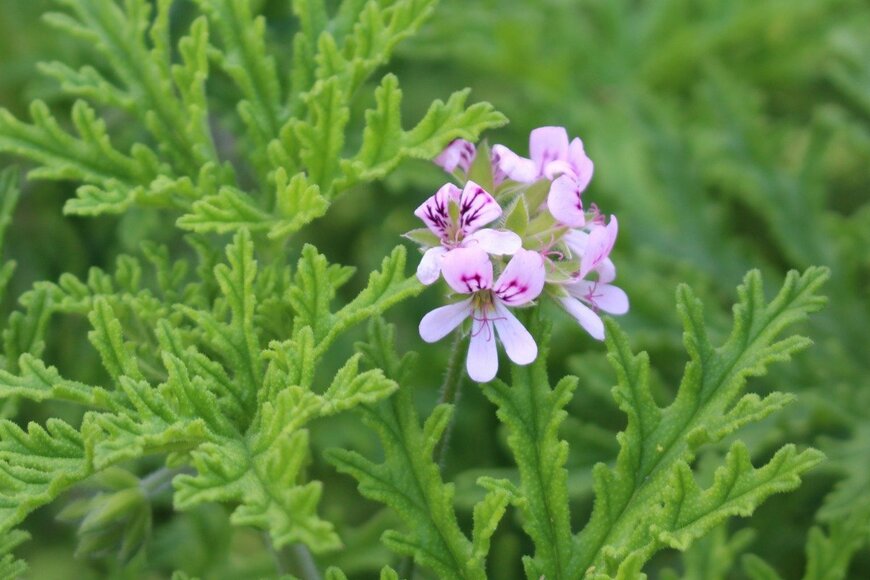 RukiMedia/istockphoto.com