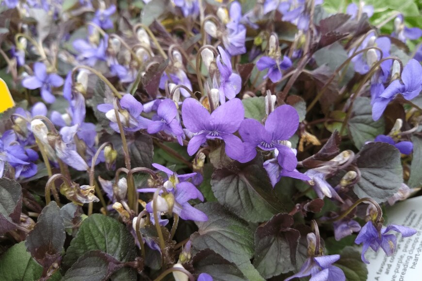 John Caley/istockphoto.com