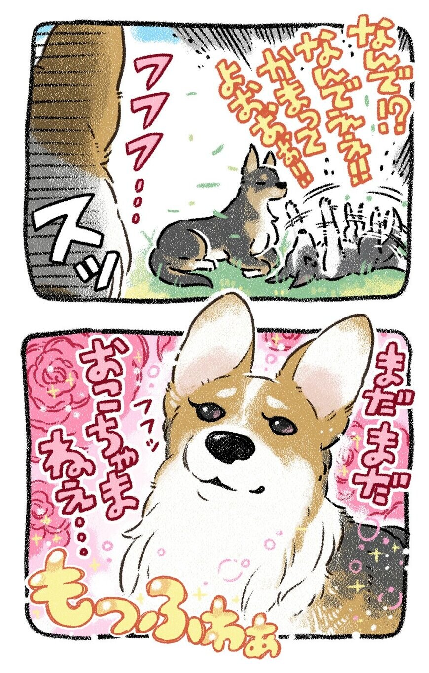 出所：@yosimofurou