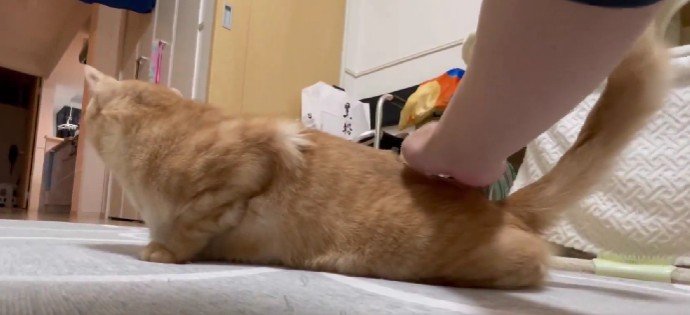 出所：＠Teagle_Noir