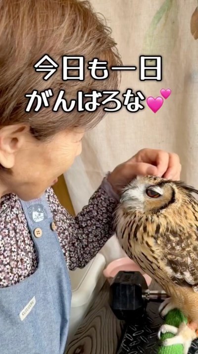 出所：@ba_chantolatte