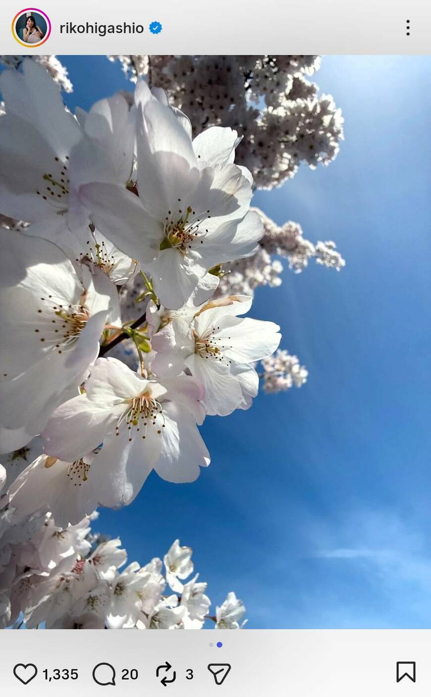 出所：東尾理子のInstagram（＠rikohigashio）参照日：2026年4月4日