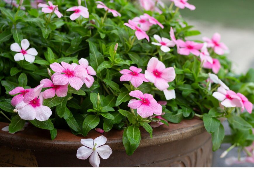 Wira Thigosee/istockphoto.com