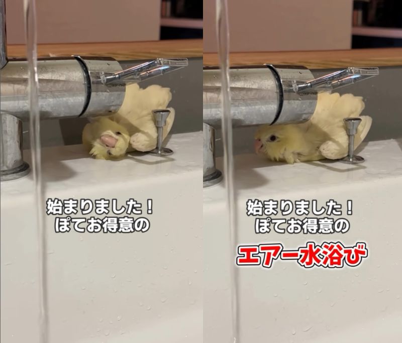 出所：@daiinkoteikoku_soraoto