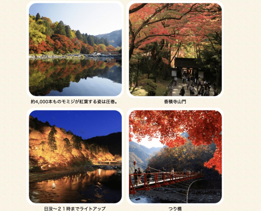 出所：豊田市足助観光協会「四季折々 香嵐渓の秋」