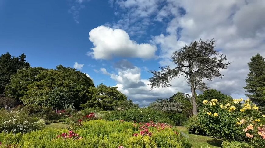 出所：光浦靖子のYouTube（@yasukomitsuura1）参照日：2025年8月5日