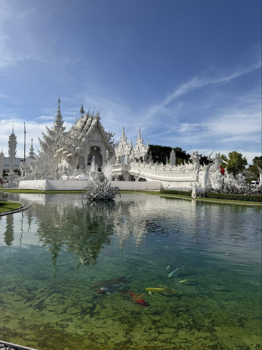 出所：@Hase_dreaming