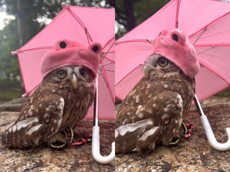 出所：@cr8673.hiro