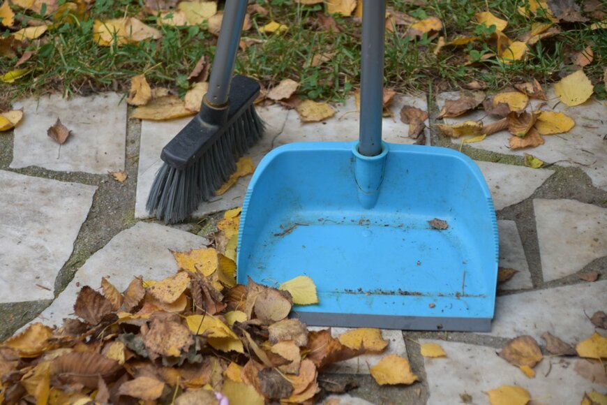 Klara Jurkova/shutterstock.com