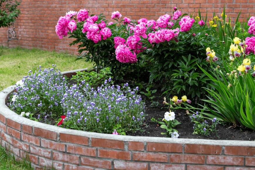 Summer 1810/shutterstock.com