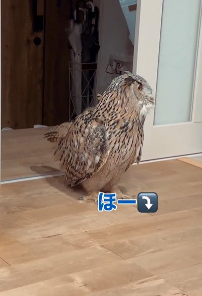 出所：＠yukkodawa