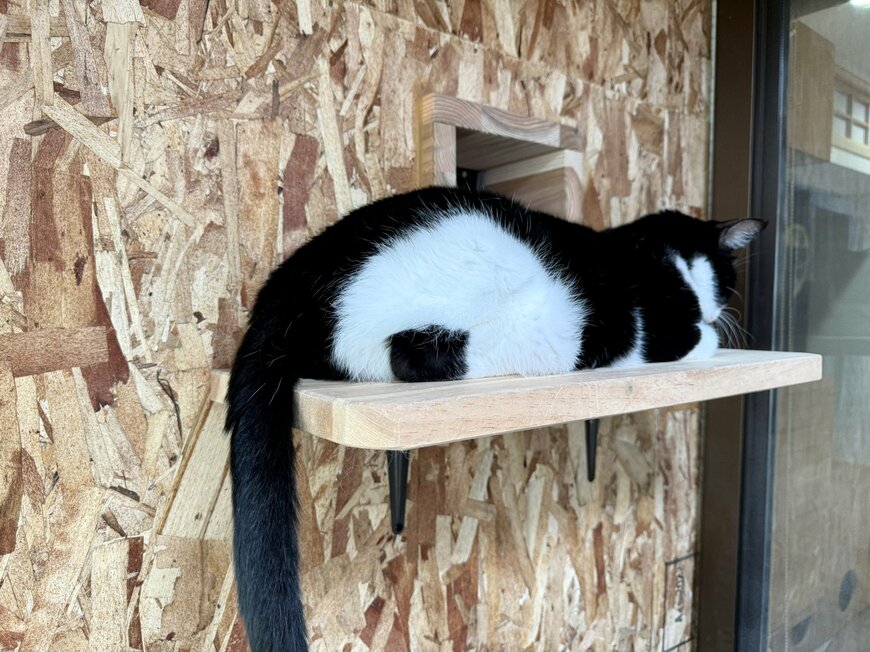 出所：@omochi_nam01