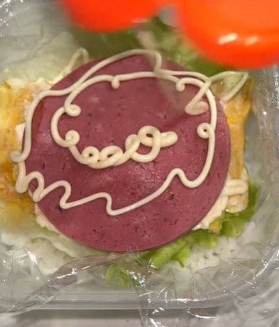 断面優勝！色鮮やかで美味しそうな【おにぎらず弁当】簡単なのに見栄えも最高！大きな海苔を2枚も使うドデカサイズの「おにぎらず」はインパクト抜群