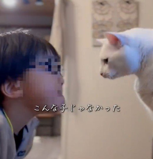 男の子と白猫