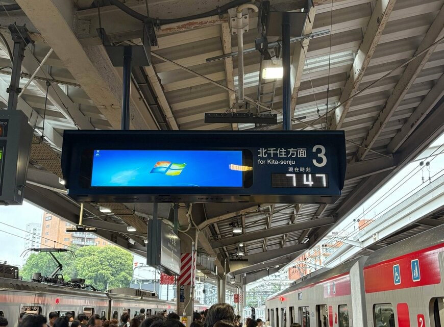 投稿の画像
