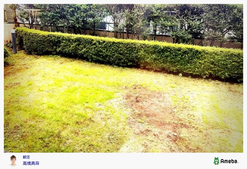 高橋真麻のAmebaブログ投稿