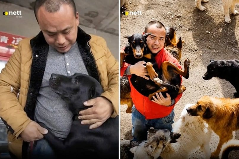 出所：<u><a href="https://www.tiktok.com/@jambidoglover/video/7652196786878024968" target="_blank">@jambidoglover</a></u>