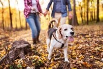 【日本の70歳代シニア】二人以上世帯の《貯蓄・年金・生活費》は平均いくら？