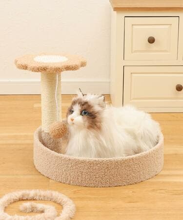 3COINSに「キャットタワー」が登場！花のデザインがかわいいんです