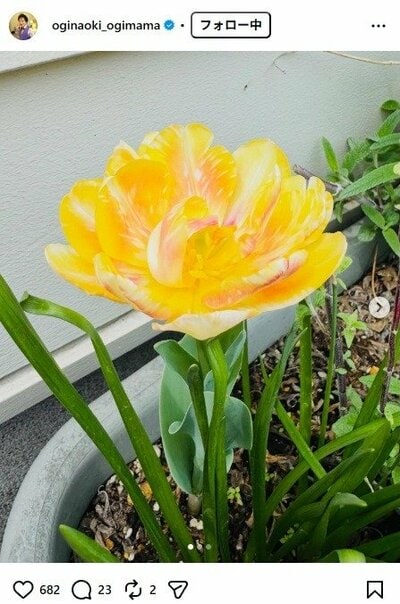 尾木直樹のInstagram投稿