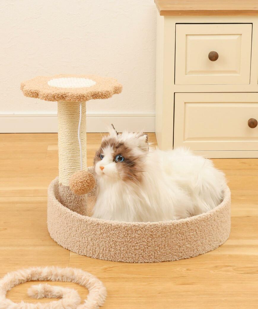 出所：パルグループ公式ファッション通販サイト 3COINS キャットタワー