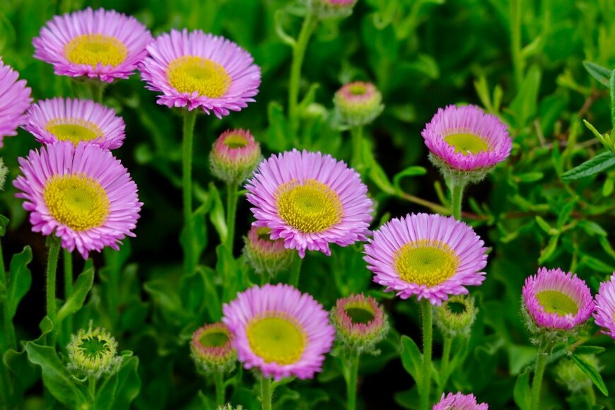 yujie chen/istockphoto.com