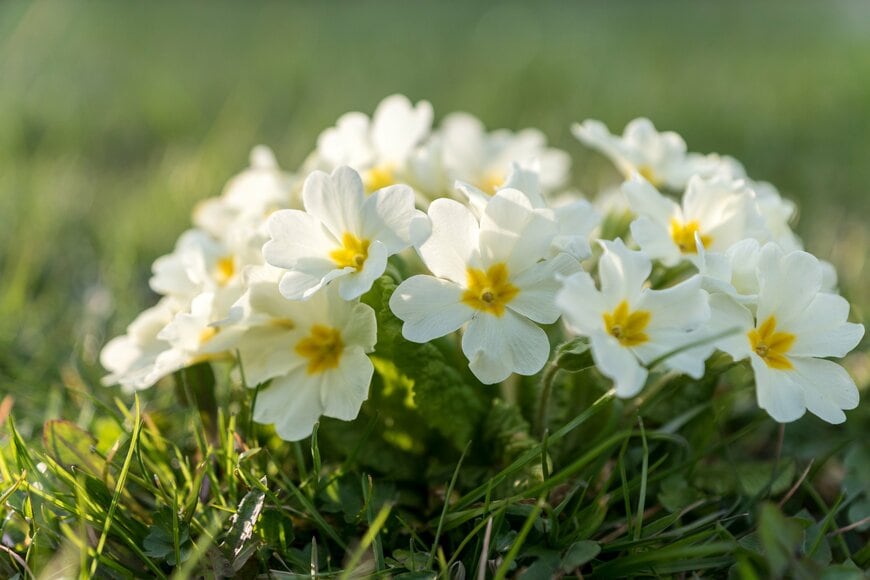 Bildagentur Zoonar GmbH/shutterstock.com