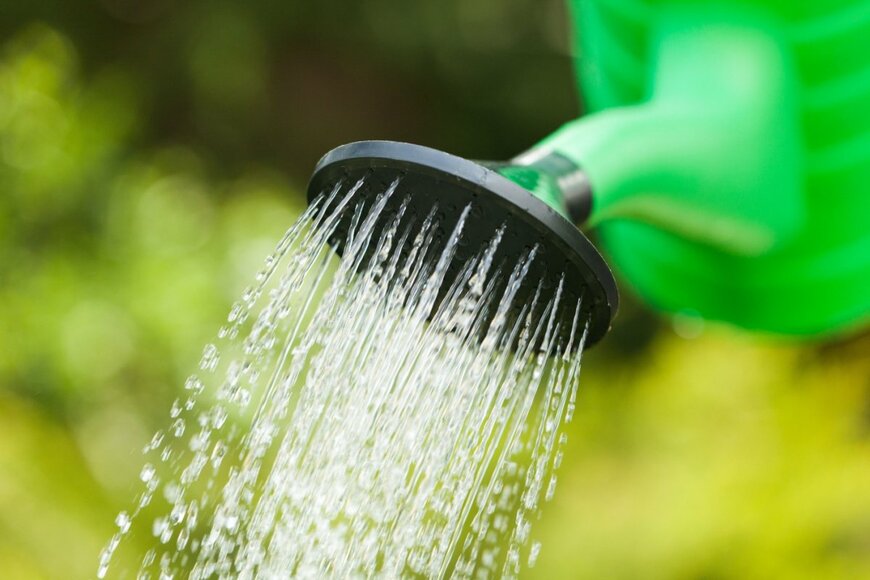 Billion Photos/shutterstock.com