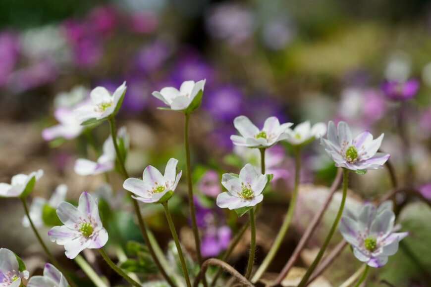 F_studio/shutterstock.com