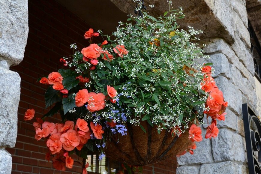 MitchelC14/istockphoto.com